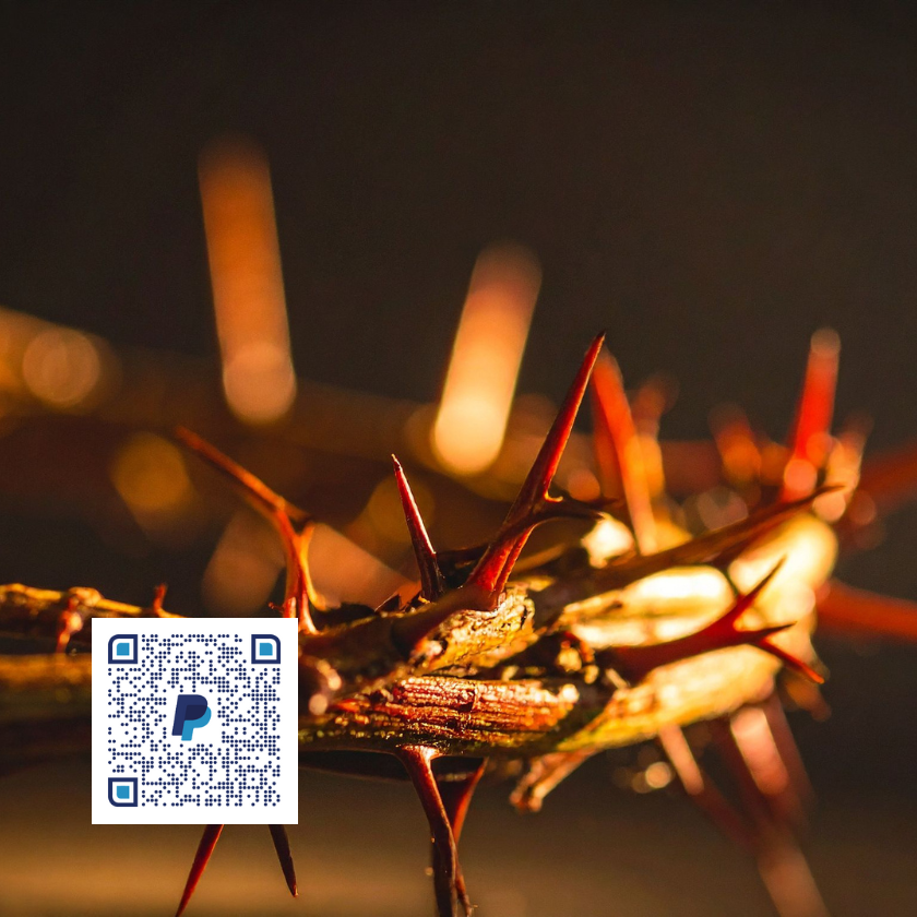 děkuji všem za podporu mých stránek