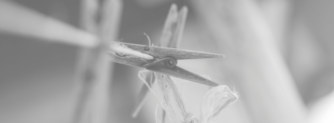 foto: Filip Štojdl 2026 @filipstojdl