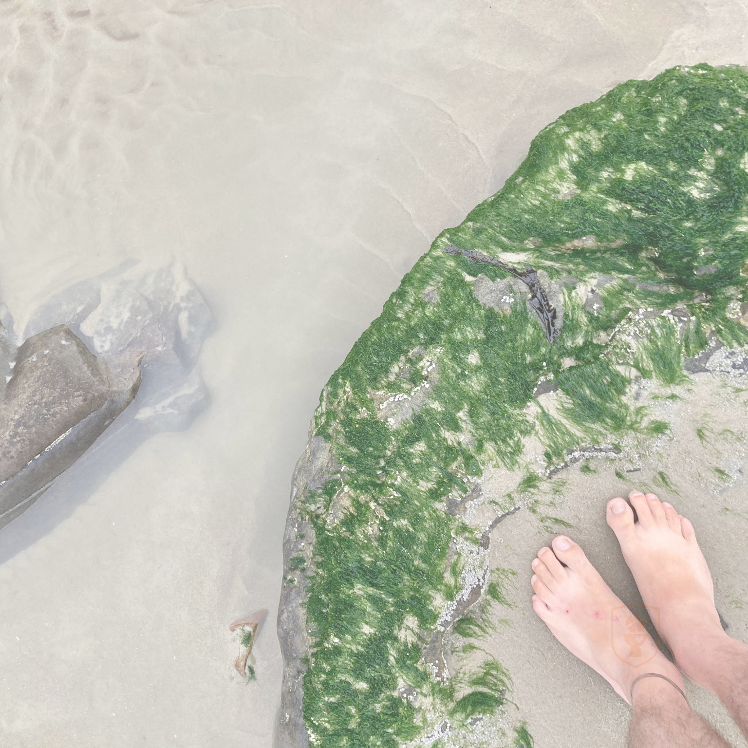 meditace je obyčejnou modlitbou těla