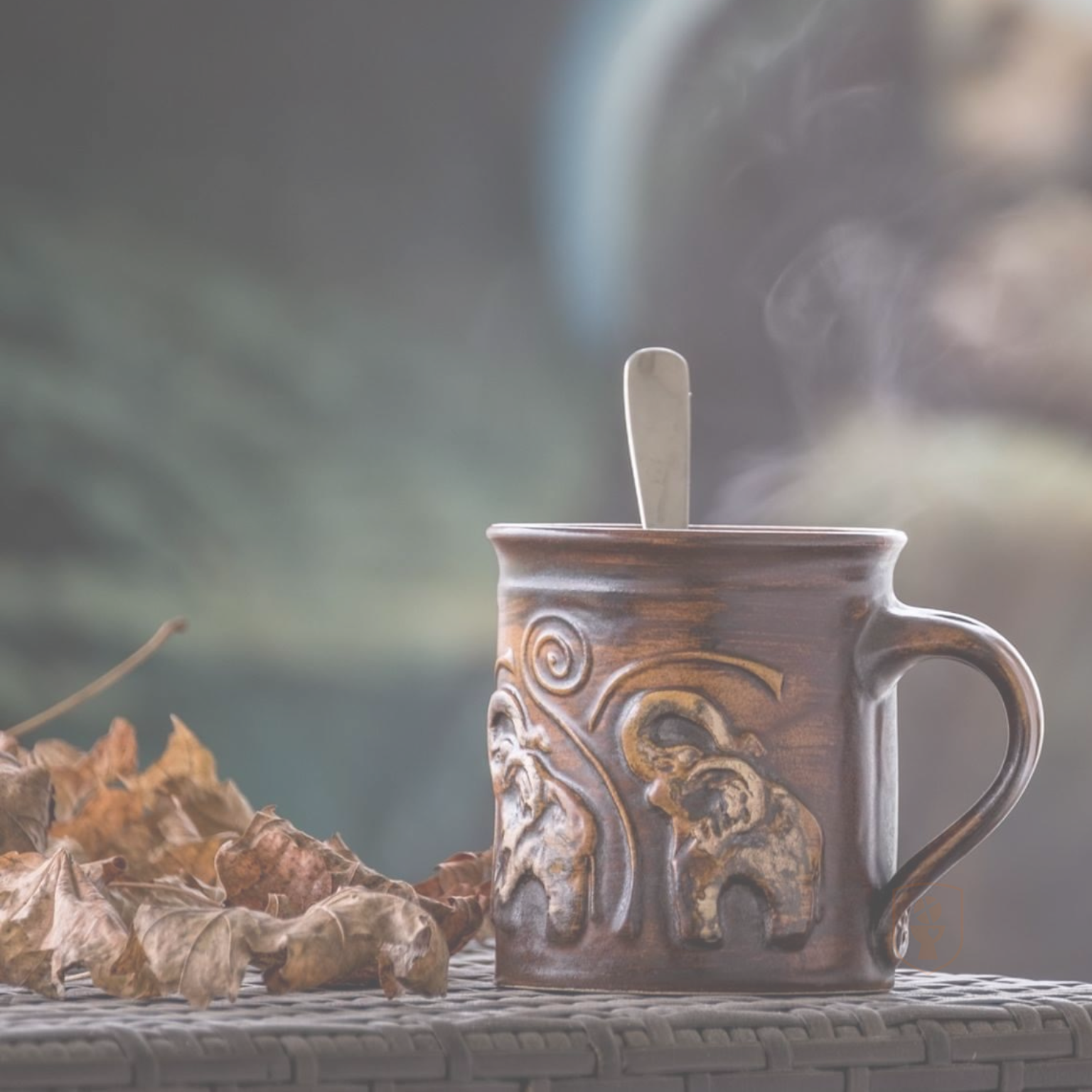 Za své služby nepobírám žádnou platbu a nemám ceník. Ale děkuji všem, kteří mne podpoří darem třeba zde.